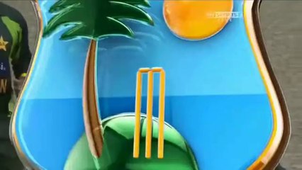 Shahid Afridi 7-12 Vs West Indies 1st ODI 2013 HD
