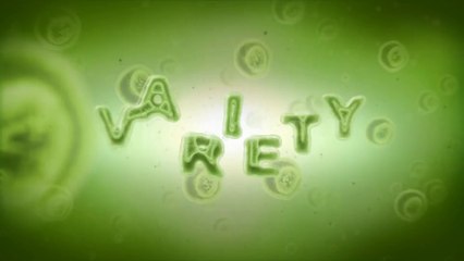 Microcosm Template - After Effects Template