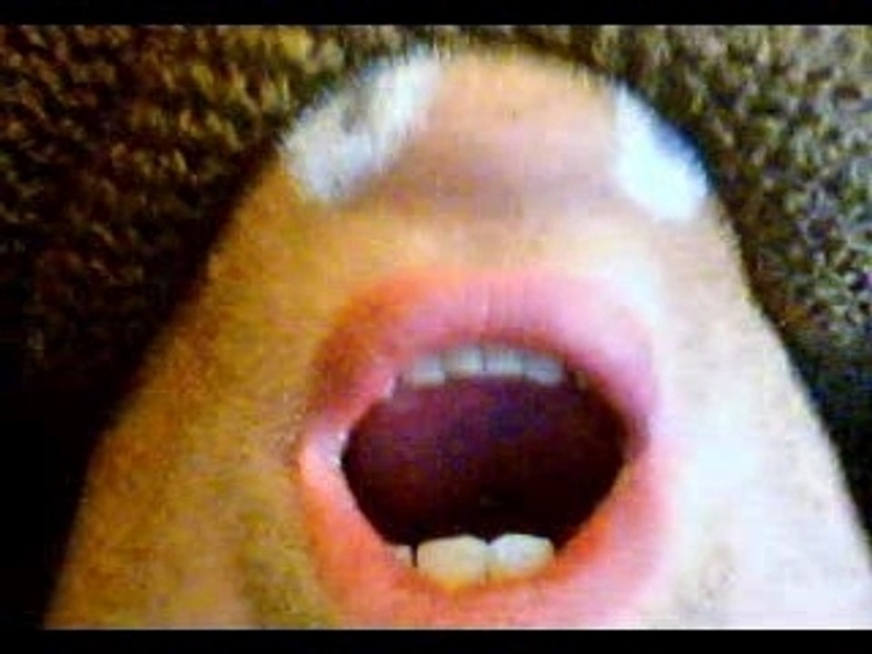 incroyable amour de goby t'on ami...