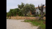 Properties for sale in Halkidiki, Greece (ID105)