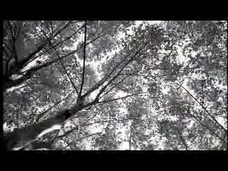 Evanescence My İmmortal Offical