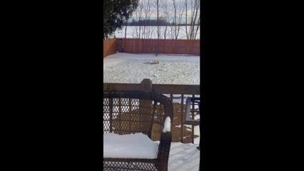 Heath Detweiler & goofy dog