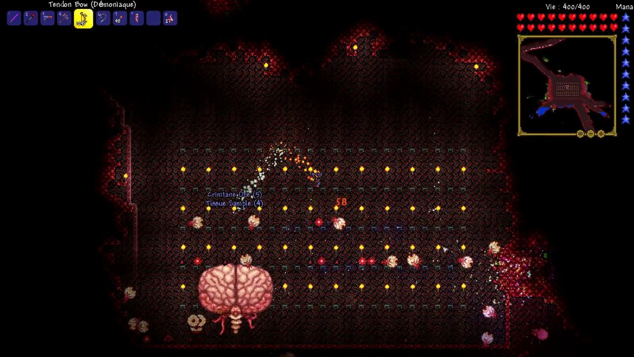 [Terraria] Cerveau de Cthulhu