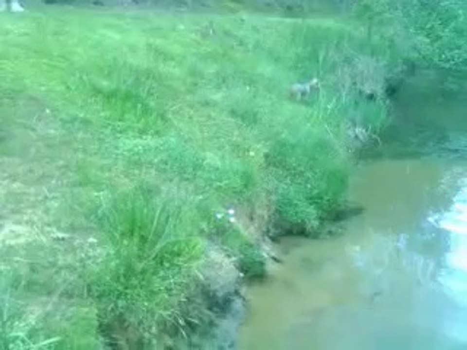Vidéo0000