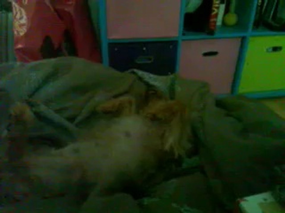 Vidéo0003