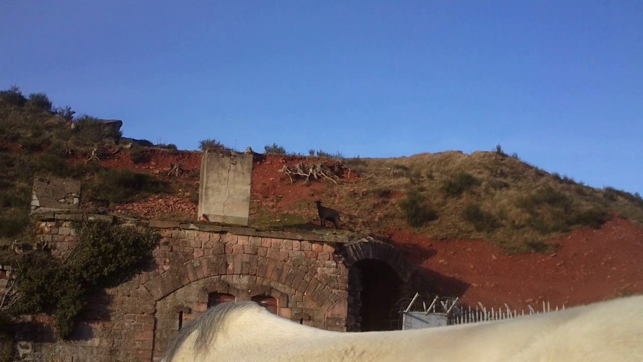 fort giro