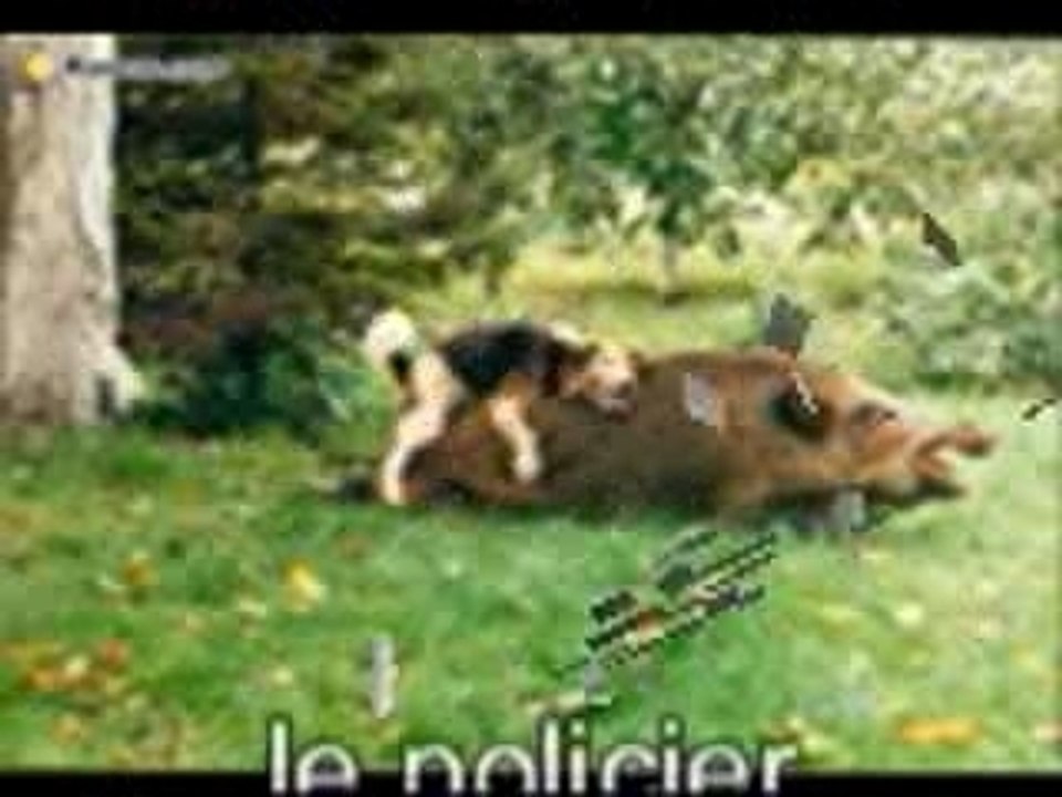 Le Policier du Mardi Soir