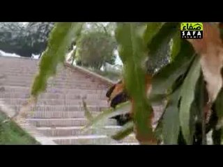 Mary Achy Rasool By Muhammad Farhan Qadri 2014 New Album