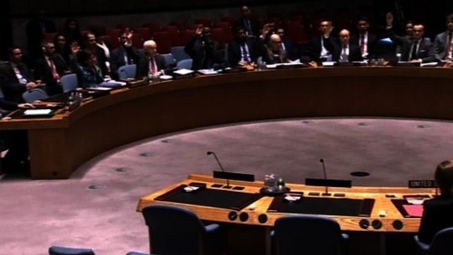 U.N. Security Council adopts Syria aid access resolution