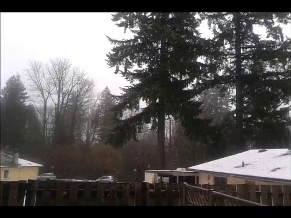snow