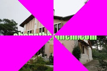 Chưa có tiêu đề