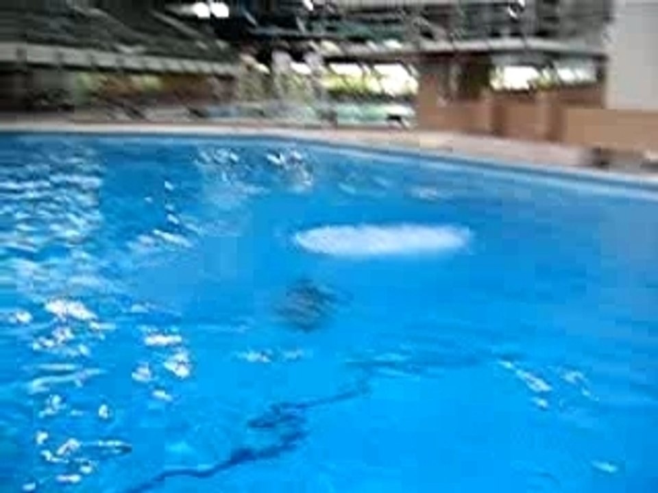 Coup de pied à la lune