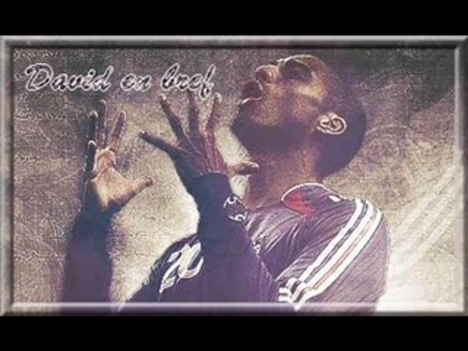 David en bref