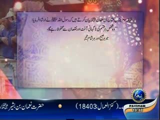 Jaiza EP19 (parliamentary system)