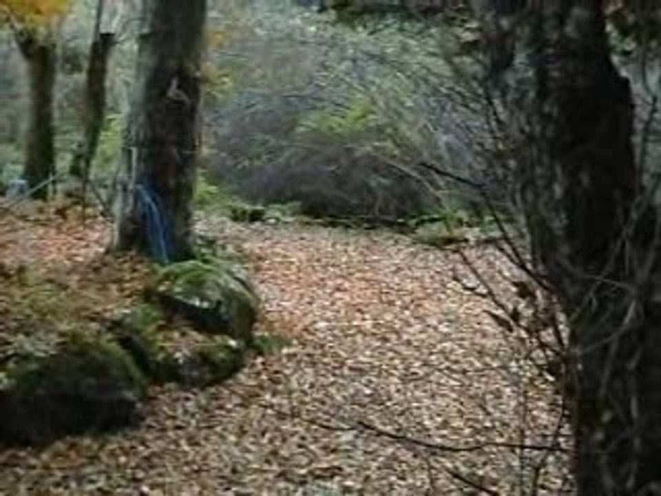 Le VTT avec une prothèse