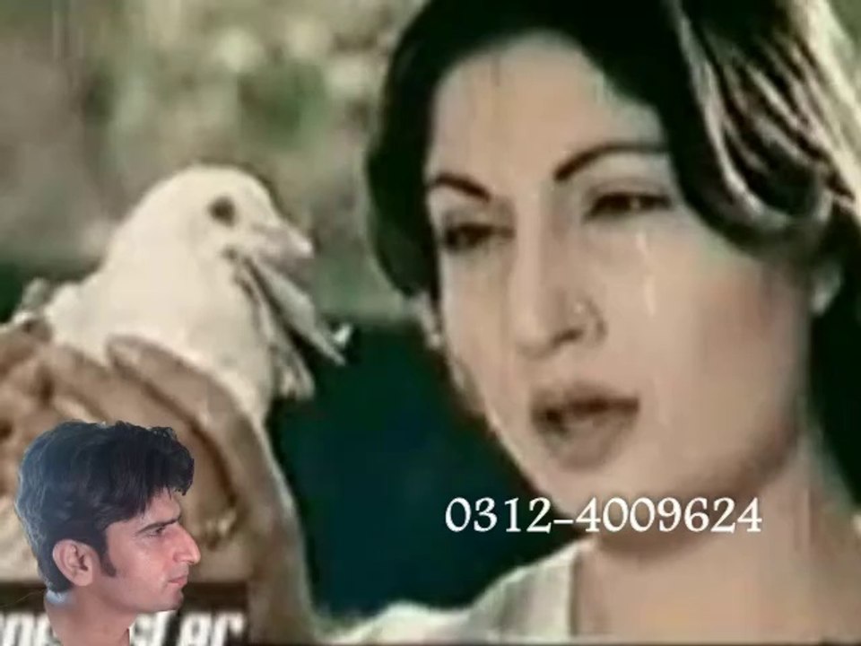 Chitta Mein Kabootar Udaar Choreya