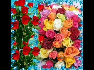 L'Important,c'est la rose