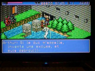 Landstalker -5 Mercator