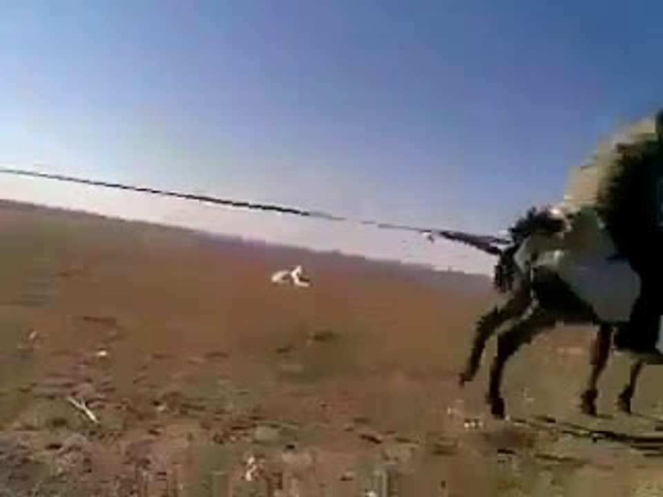یاری که‌ر له که‌ره‌وه