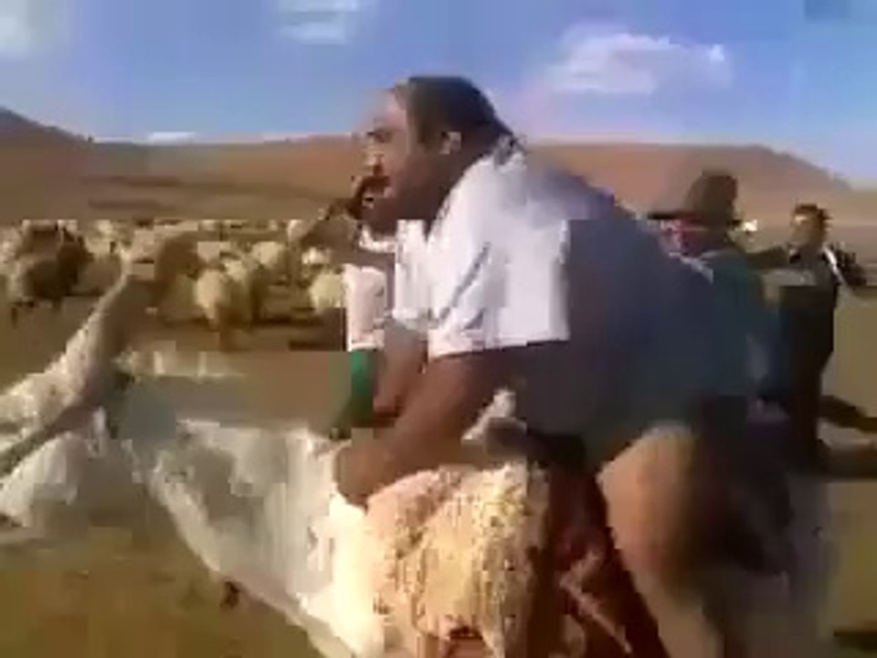 تێر تێر پێبکه‌نه