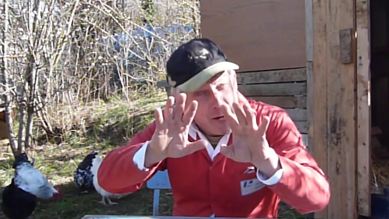 le truc de cristian N°1 " comment évitez que vos poules  ( et coq ) s'échapent ?