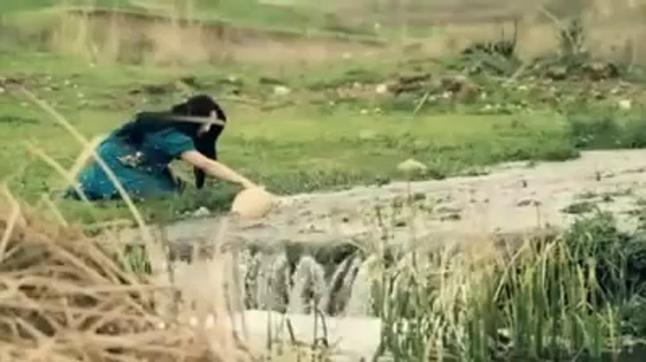 HozanVan Burhan Zebarii -Wene -    -بورهان زيبارى  -وينه