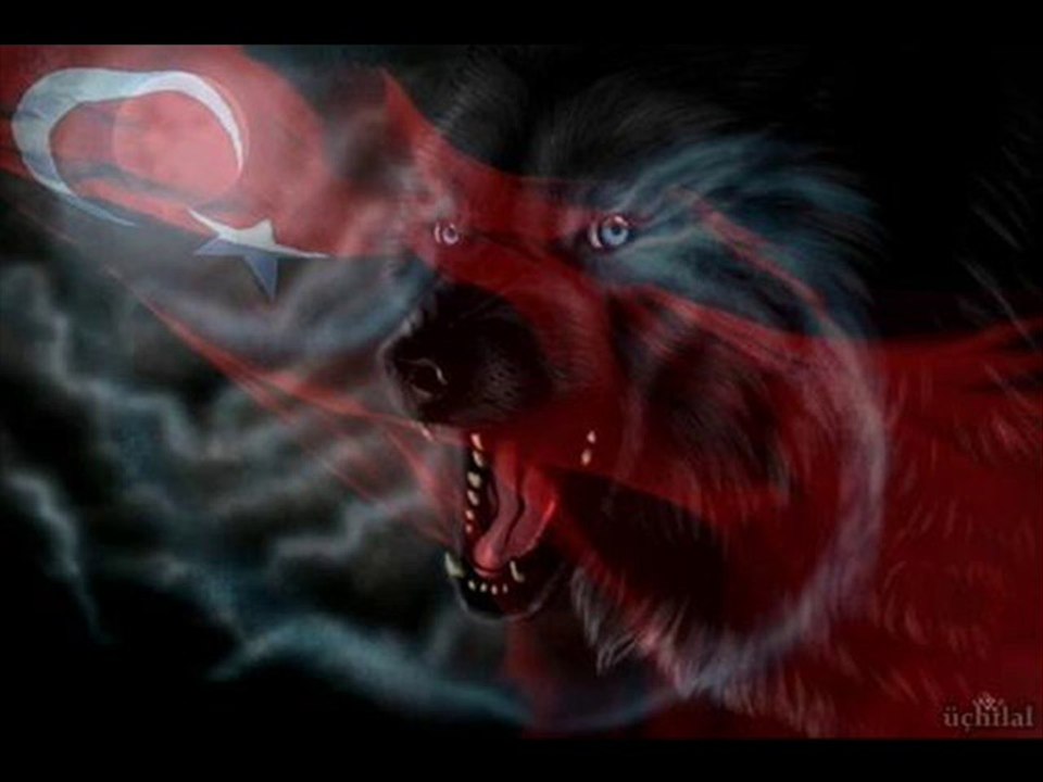 ALİ KINIK '' OLMUYOR ''