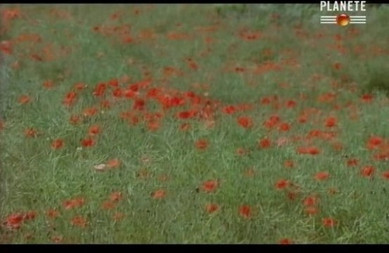 La Bataille de Mons - Commémorations 2014