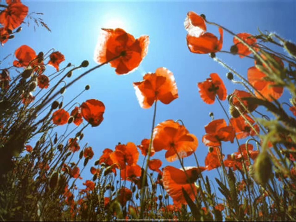 DeLaLé Ka Ew Soza Te Damin - Www.Rojklip.Com