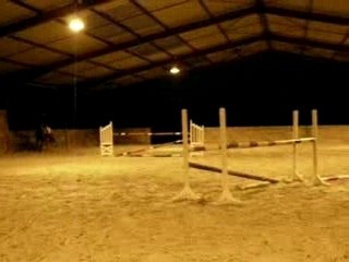 NEWTON - Droit/Droit/Oxer