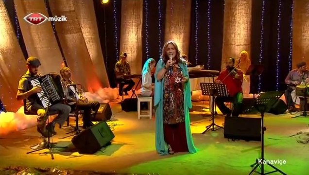 01 mircan kaya ordunun dereleri 18.02.2014 kanaviçe