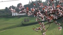 Ambiente casi primaveral hoy 23F en Candás, Asturias