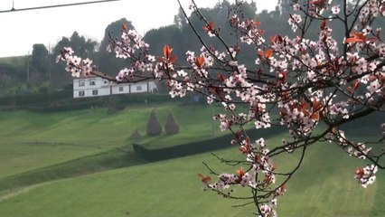 Ambiente casi primaveral hoy 23F en Candás, Asturias