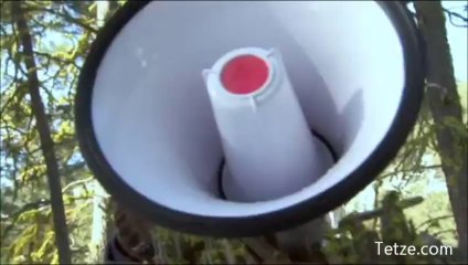 Land of the Lost Wolves - PART1