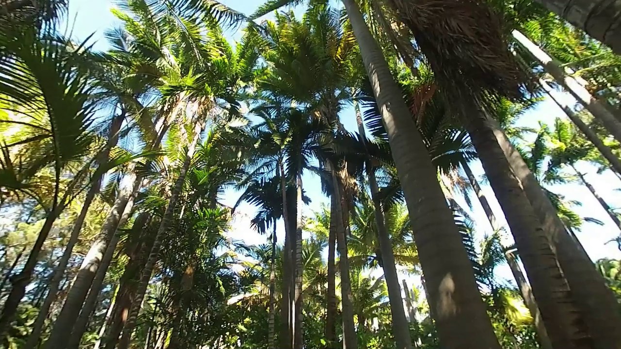 gopro ile de la reunion