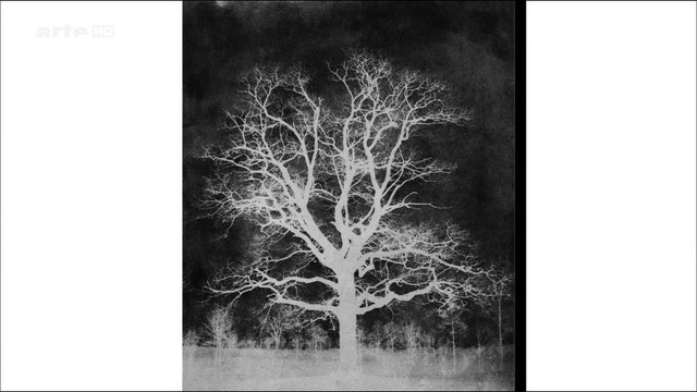 Photographie du 19 janvier 2014 (1ère partie)