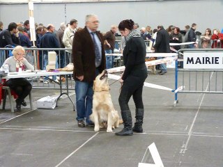 Expo Toulouse First 2014