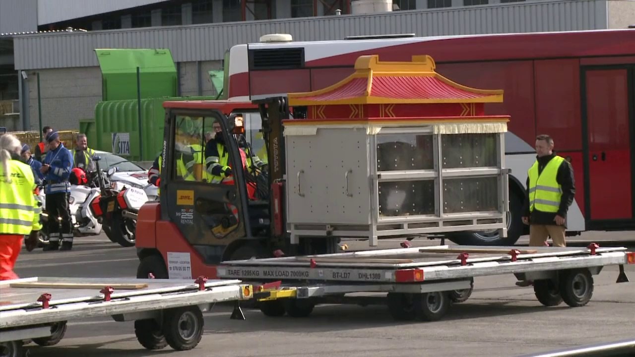 Belgique : arrivée de deux pandas géants prêtés par la Chine
