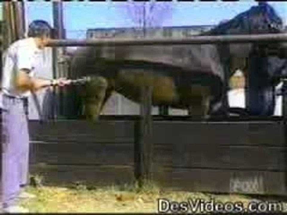 marquage dun cheval o fer rouge