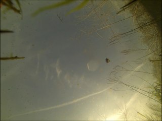 Une heure chez les Tritons, épisode 2 : "Des dragons dans le ciel"