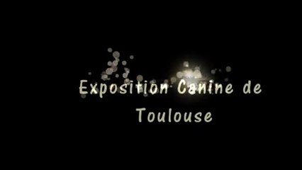 Expo Toulouse Ikio 2014