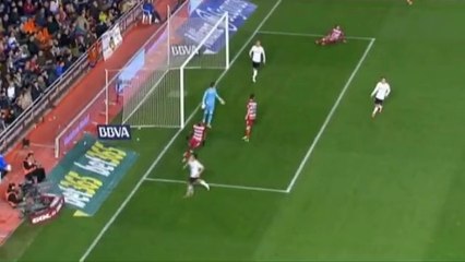 فيغولي ضد براهيمي