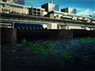 تسرب مياه سامة من مفاعل فوكوشيما