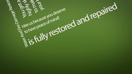Are You Looking For Mold Remediation in Lake Worth FL?