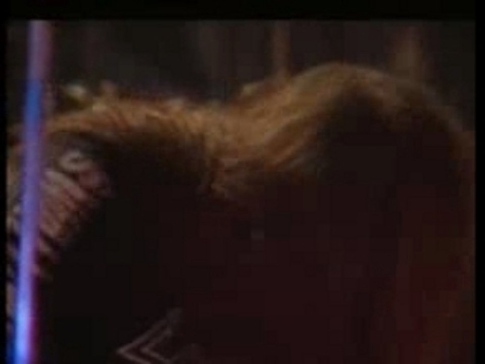 sepultura - Mass Hypnosis