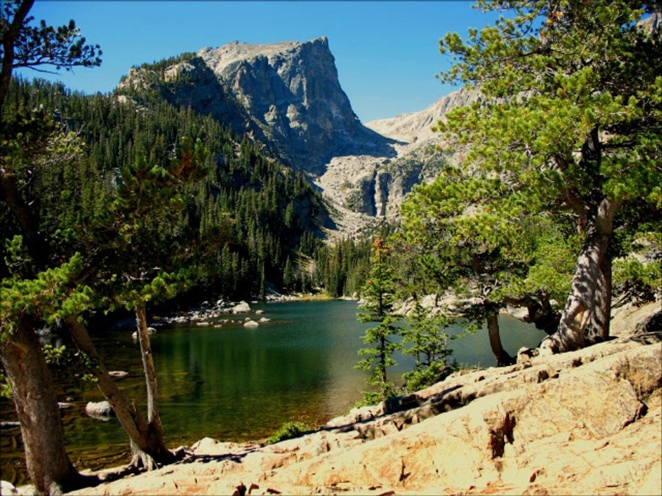 Hikers Dream by The Electric Trunk