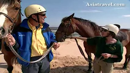 Gunnamatta Horse Trail Rides, Melbourne by Asiatravel.com