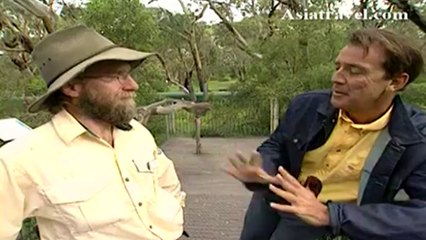 Koala Conservation Centre, Phillip Island Australia by Asiatravel.com