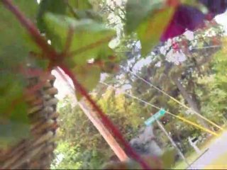 Zero-Project...In The Beginning