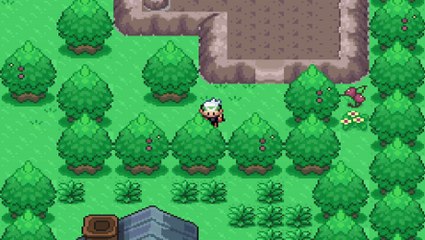 pokémon flora sky ep 06 / je suis perdu :3 / HD FR